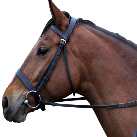 Hunter Leather Bridle