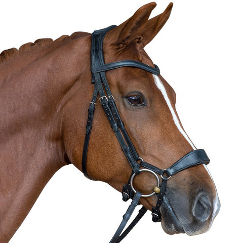 Black Leather Premium Bridle