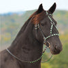 Designer Premium Leather Dressage Horse Bridle