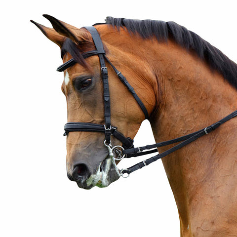 Black Padded Bridle