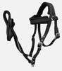 Adjustable Horse Bridle With Rein PP Webbing