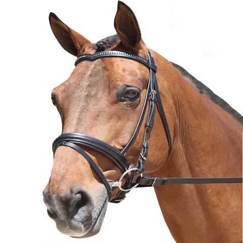 Padded Dressage Bridle