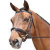 Padded Dressage Bridle