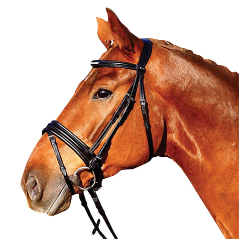 Black Padded Dressage Leather Bridle