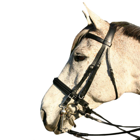 Black Flat Padded Leather Bridle