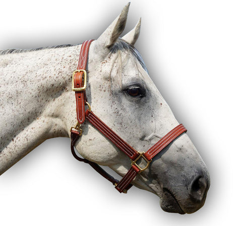 Premium Triple DD Leather Stitched Halter