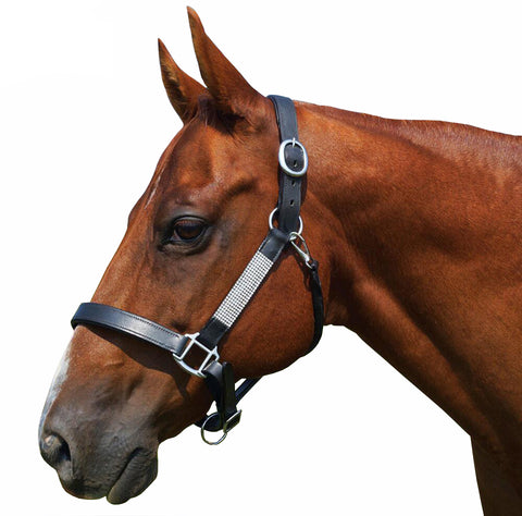 Classic Fancy Stitched Shalimar Leather Halter