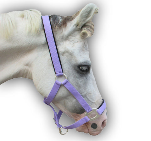 PP Nylex Padded Halter