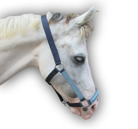 PP Terry Padded Halter