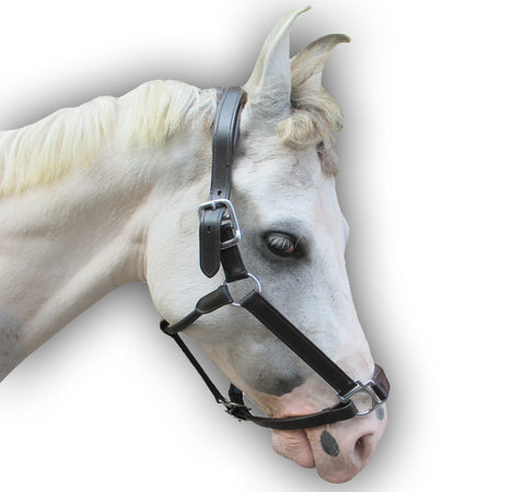 DD Leather Halter