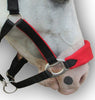 Red Padded PP Halter