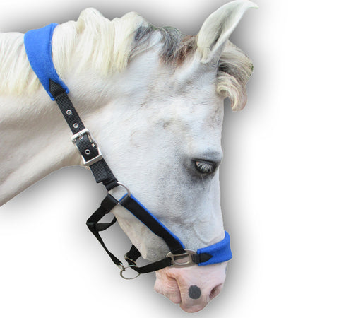 Blue Paded PP Halter