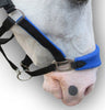 Blue Paded PP Halter