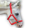 Red PP Halter