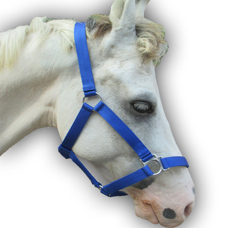 Blue PP Halter