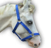 Blue PP Halter