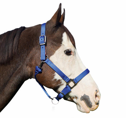 Blue Comfort Nylon Halter
