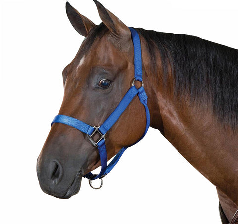 SS Blue PP Halter