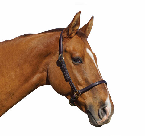 Brown DD Leather Halter