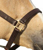 Brass Fitting Shalimar Leather Halter