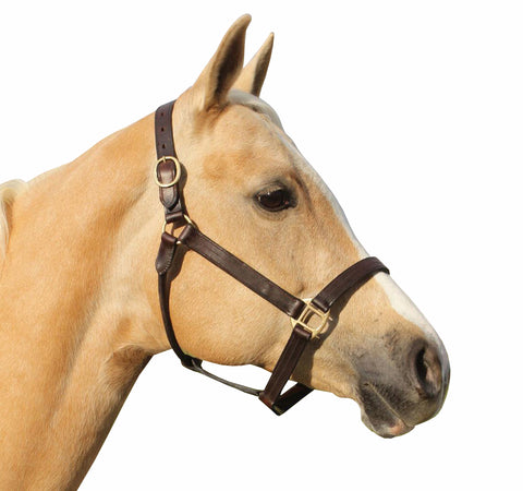 Brass Fitting Shalimar Leather Halter