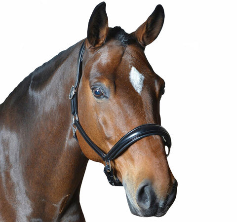 DD Leather Plain Raised Padded Halter