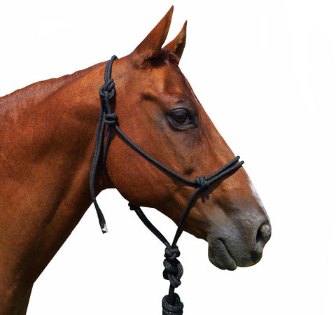 Black Rope Halter with Lead