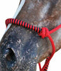 Red Rope Halter with Lead