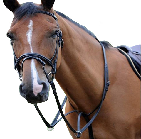 Black Leather Breastplates & Martingale