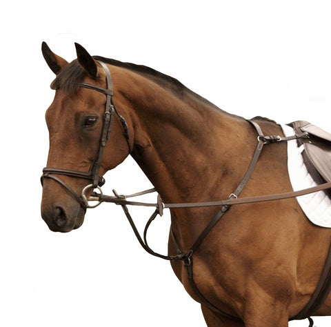 Brown DD Leather Breastplates and Martingals