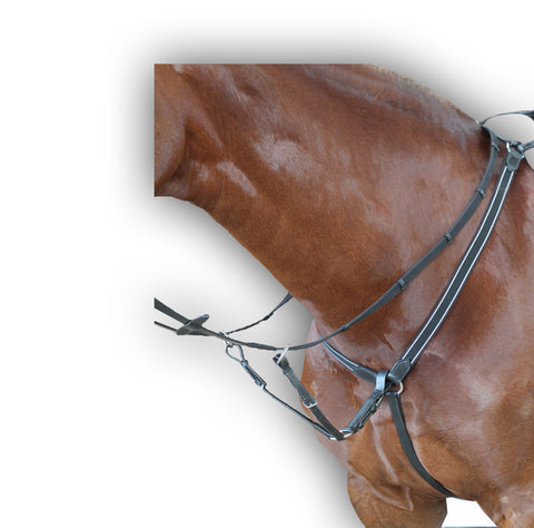 DD Leather With PP Martingale