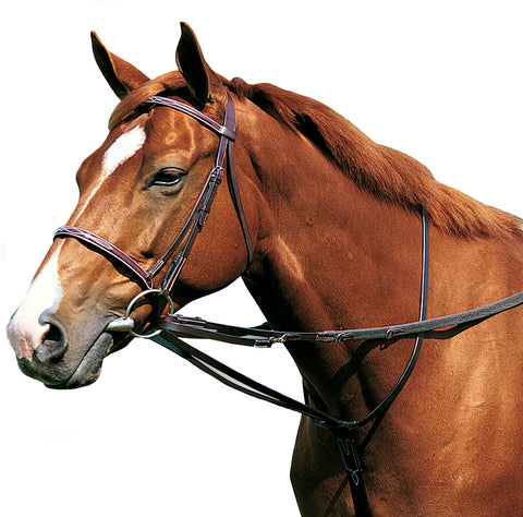 Black DD Leather Breastplate Martingale