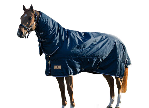 600D Turnout Blanket Combo 300G