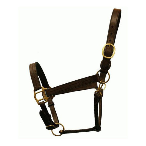 Designer Brown Leather Halter