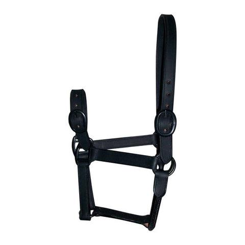 Designer Black Work Leather Halter