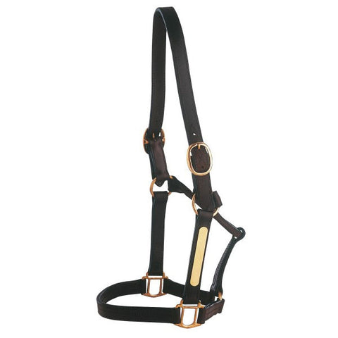 Designer Work Leather Halter