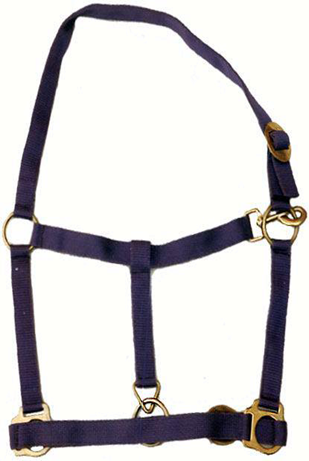 Dark Purpal Halter
