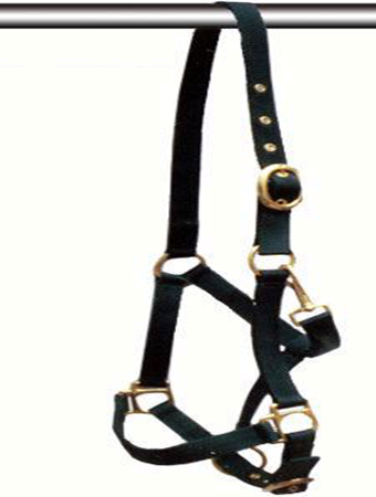 Black PP Halter