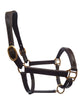 DD Leather Plain Raised Padded Halter