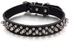 Adjustable Tan Leather Spiked Studded Dog Collars