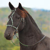 Designer Premium Leather Dressage Horse Bridle