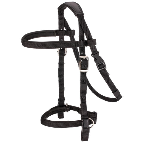 Black Designer P P Dressage Horse Bridle