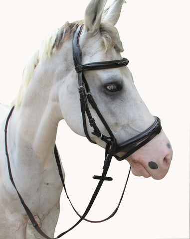 Leather Bridle With Raises Noseband