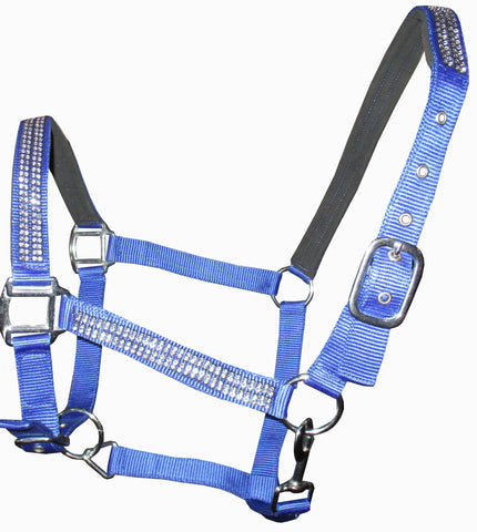 Synthetic  Designer PP Halter