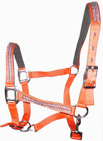 Designer Orange PP Halter