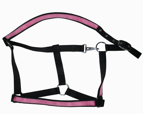 Black Pink PP Halter