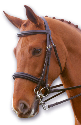 Leather Padded Dressage Bridle