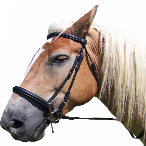 Soft Leather Black Bridle