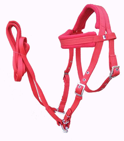 Adjustable Horse Bridle With Rein PP Webbing