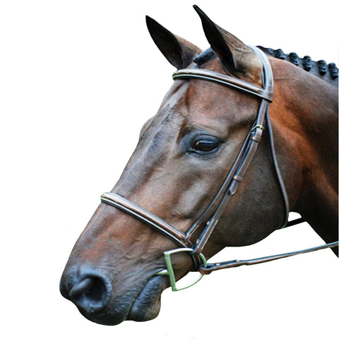 Soft padded comfort bridle headpiece